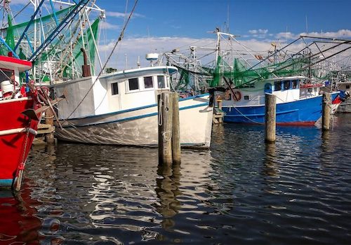 waveland dock