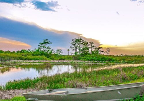 gautier swamp